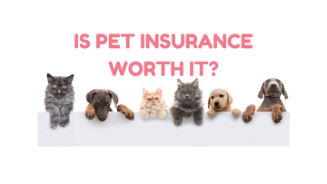 IS PET INSURANCE WORTH IT?